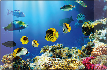 Kangaro K-0014D115 Bureauonderlegger Pp 38X58Cm Dessin Aquarium