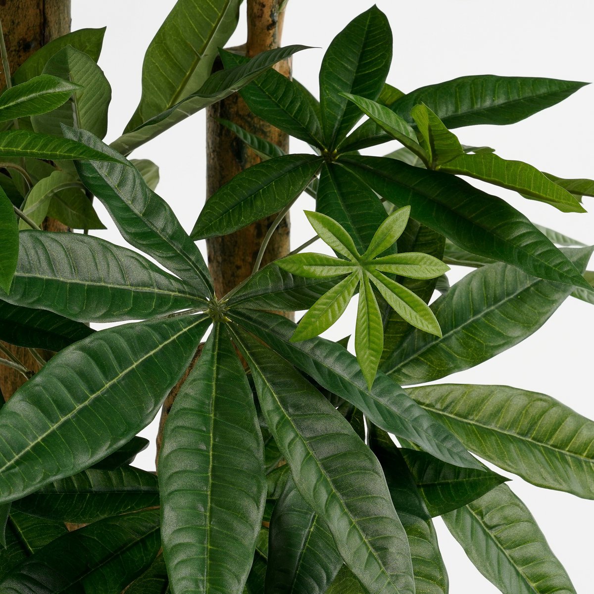 Kunstplant Pachira Groen H175cm Ø85cm