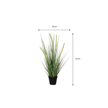 Dogtail Gras Kunstplant - H53 x Ø30 cm - Groen