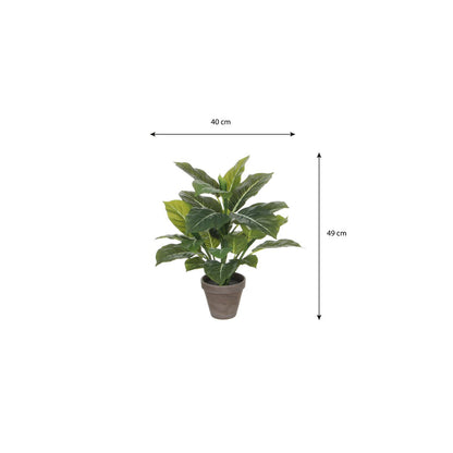 Evergreen Kunstplant in Bloempot Stan - H49 x Ø40 cm - Groen