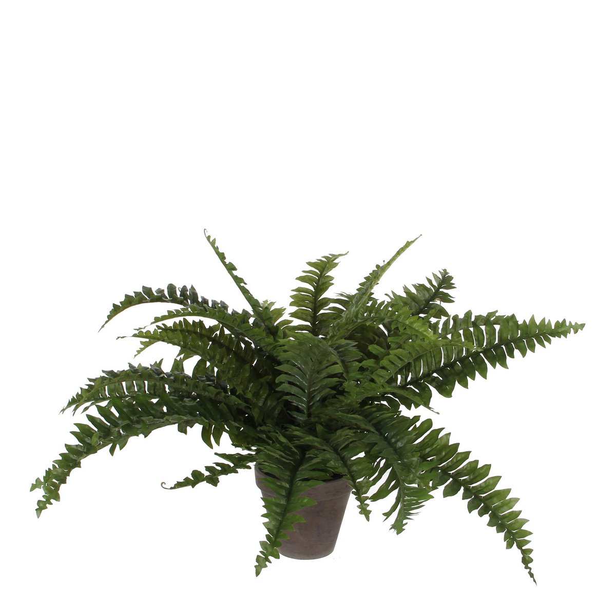 Kunstplant Boston fern Groen Ø50 cm x H42cm