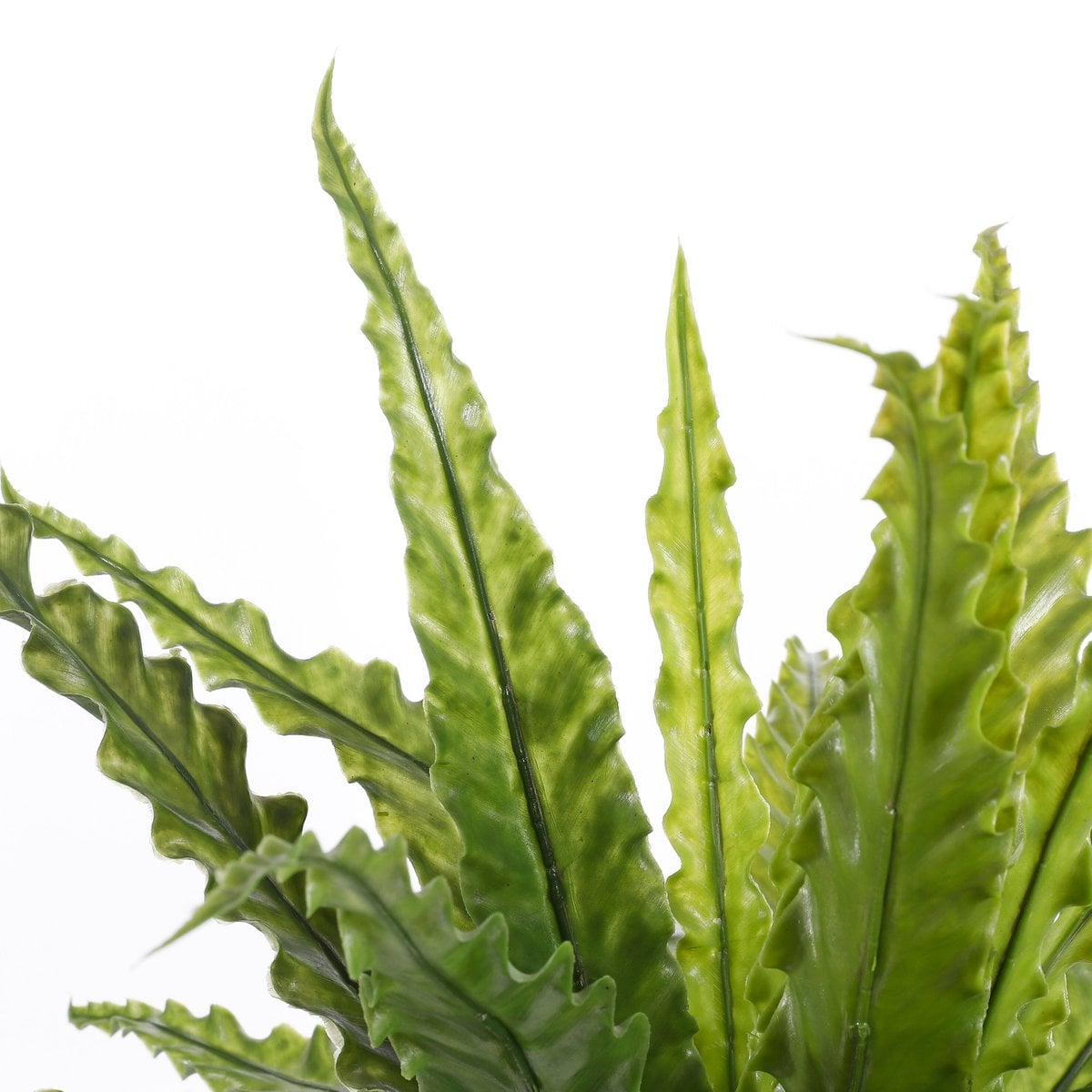 Kunstplant Asplenium Groen