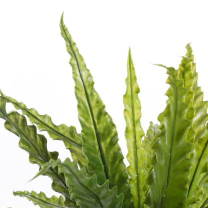 Kunstplant Asplenium Groen