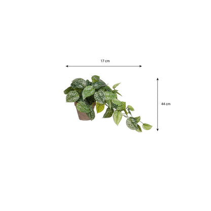 Kunst hangplant Scindapsus Groen Ø17cm H44cm