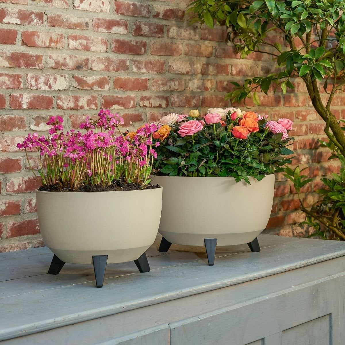 Plantenbak buiten Doppio Beige Ø33 cm H18,5 cm