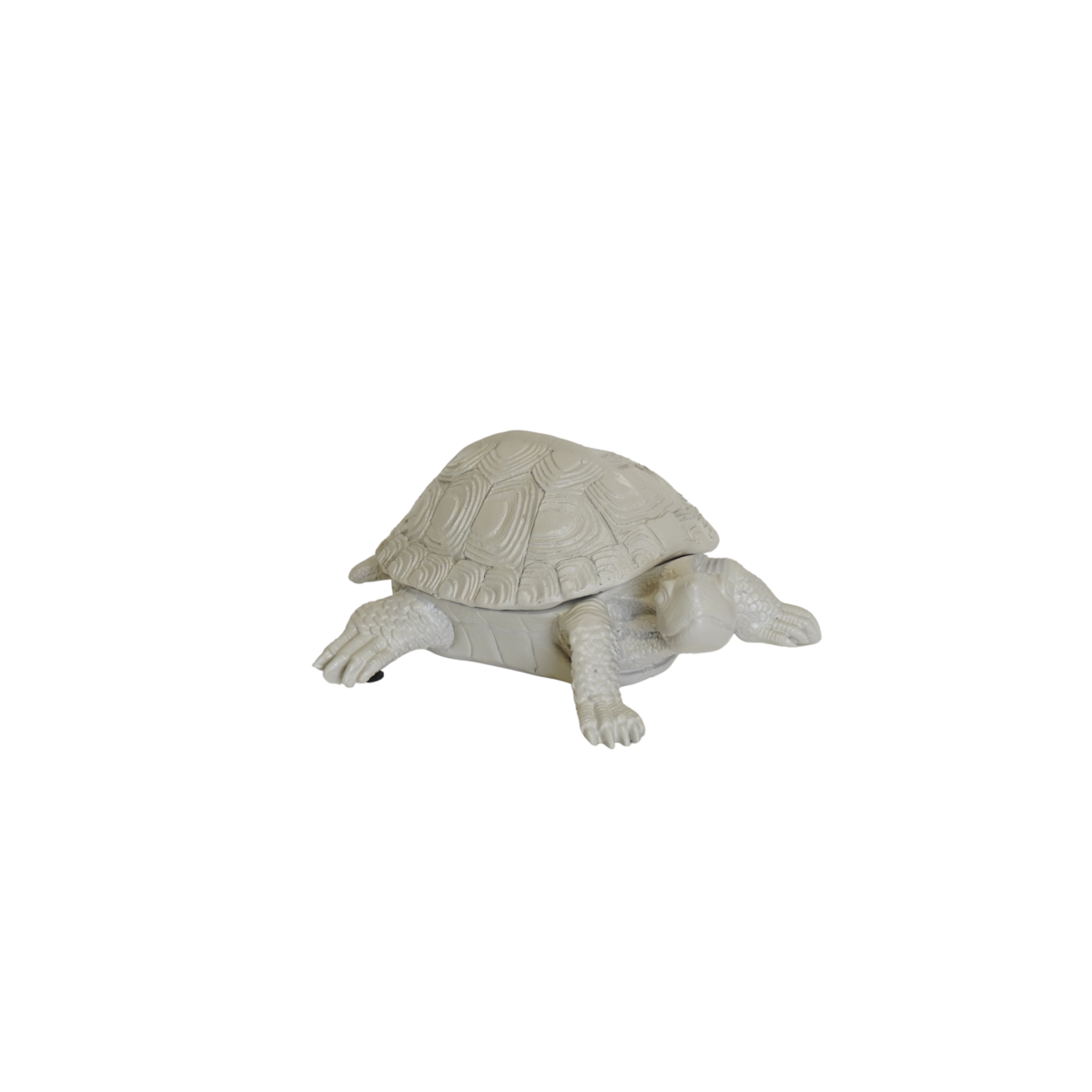 Schildpaddendoos Zandkleur