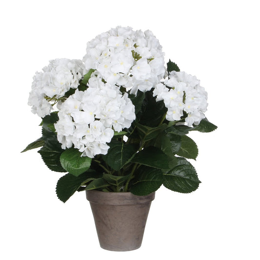 Hortensia Kunstplant Wit