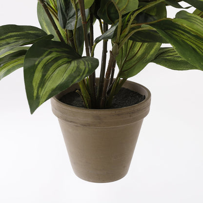 Hosta Kunstplant in Bloempot Stan - H65 x Ø40 cm - Groen