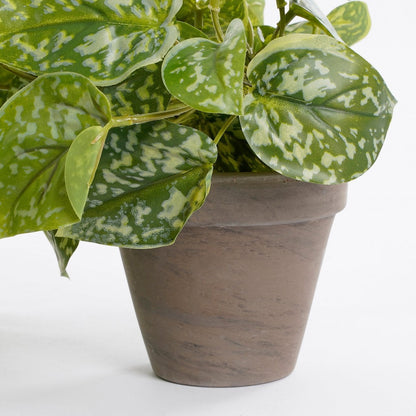 Kunst hangplant Scindapsus Groen Ø17cm H44cm