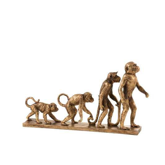 J-Line decoratie Aap Evolutie - polyresin - antiek goud