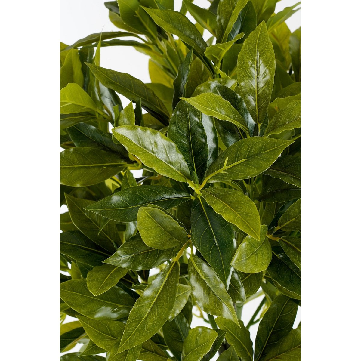 Kunstplant Laurel Groen Ø40cm H120cm