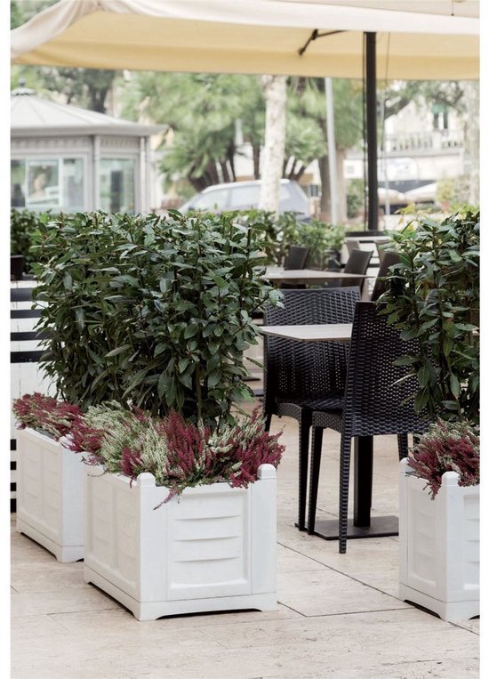 Bama Kit Arredo Plantenbak 80x42.5x42 cm Taupe