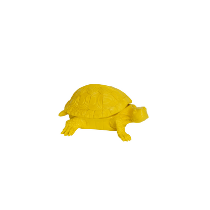Schildpaddoos Geel