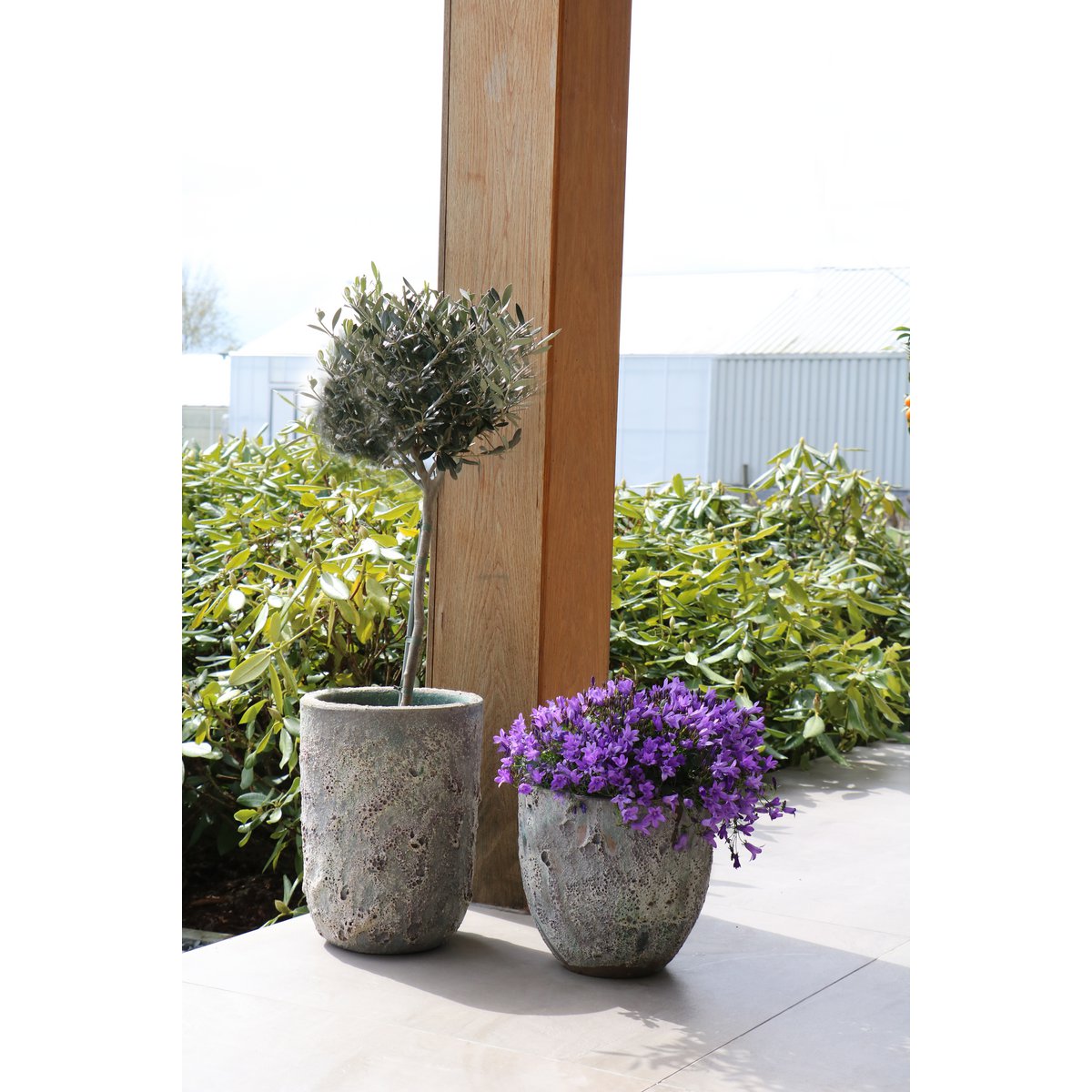 Plantenpot Set van 2 - Fuji Oceanic Coral