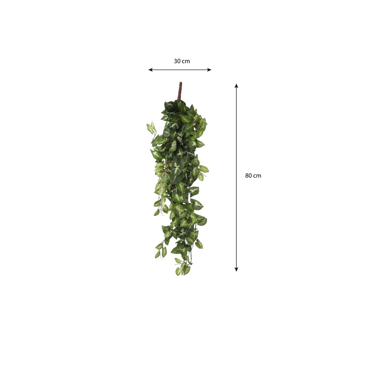 Fittonia Kunst Hangplant - L15 x B30 x H80 cm - Groen