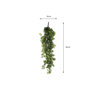 Fittonia Kunst Hangplant - L15 x B30 x H80 cm - Groen