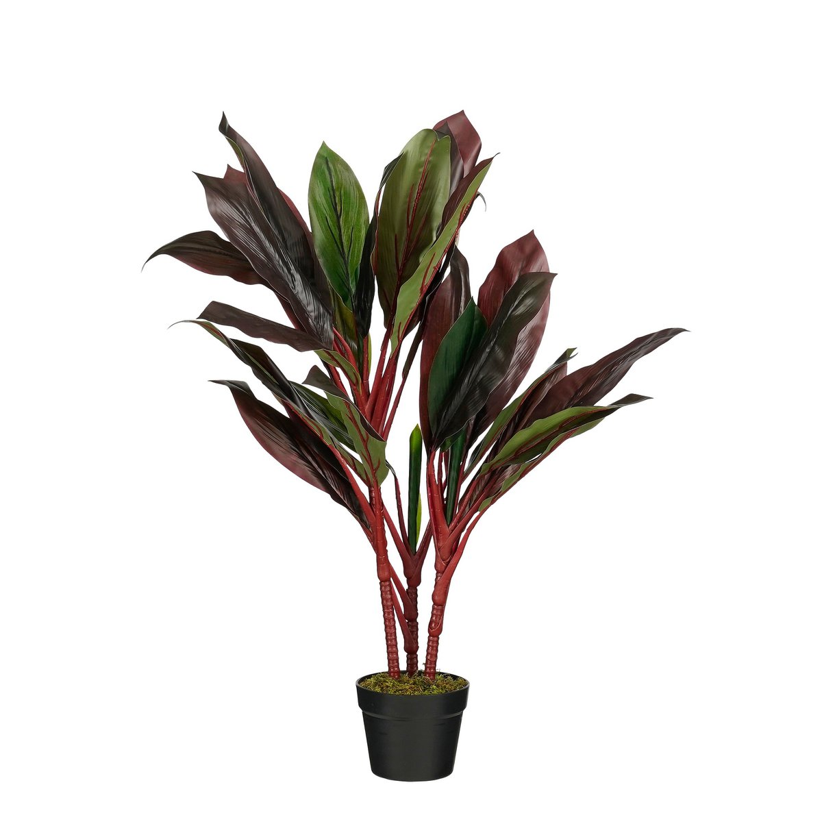 Kunstplant Cordyline Rood Ø70cm H90cm
