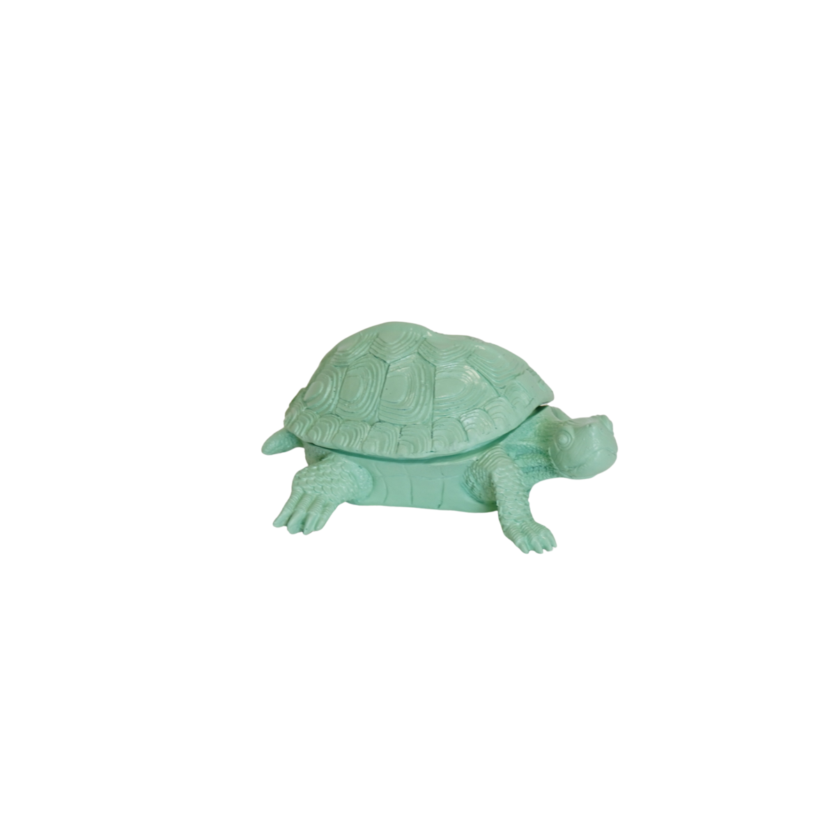 Schildpaddoos Mintgroen