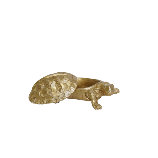 Schildpaddoos Goud