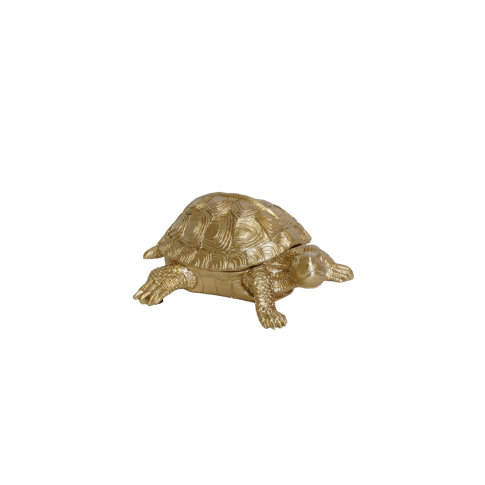 Schildpaddoos Goud