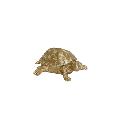 Schildpaddoos Goud