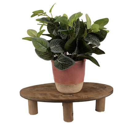 Plantentafeltje op pootjes 40x20x11 cm