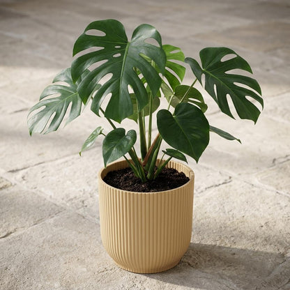 Elho Vibes Fold 18Cm Geel