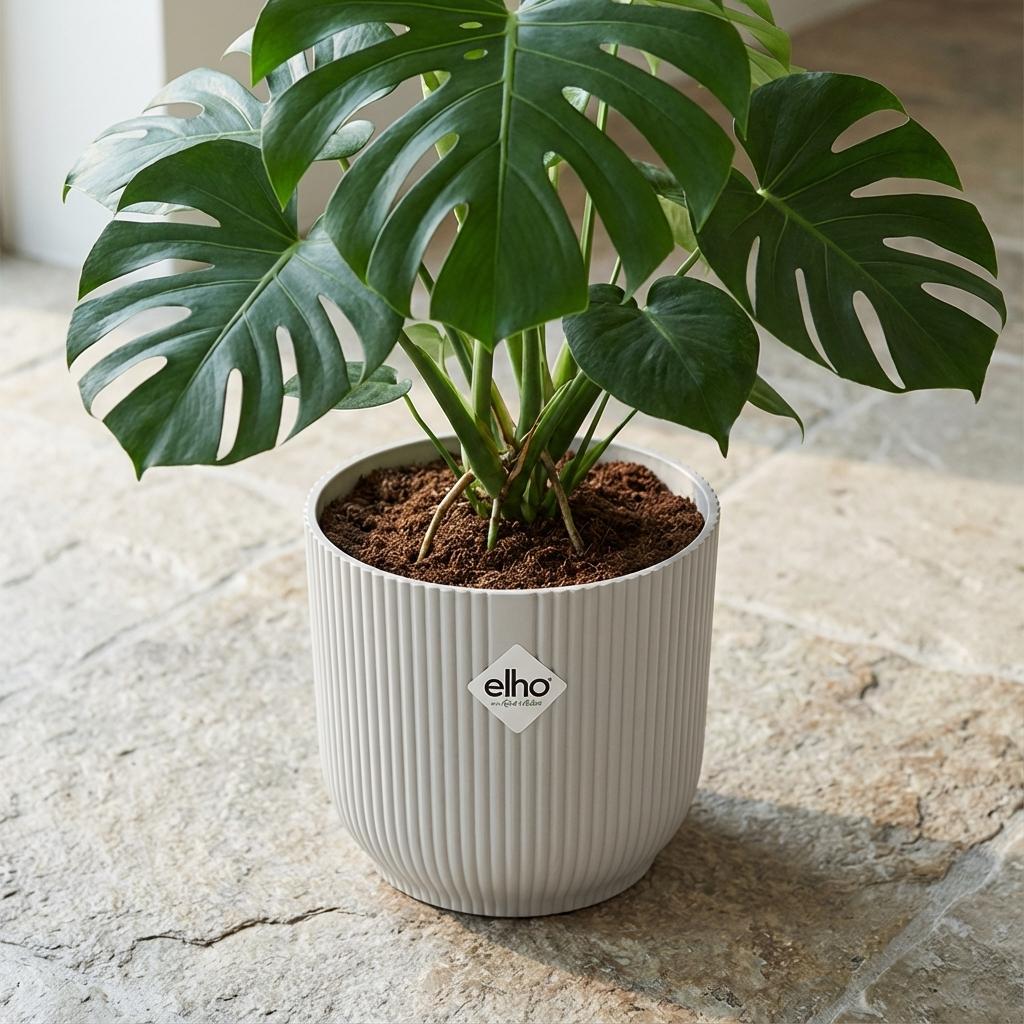Elho Vibes Fold 22Cm Wit