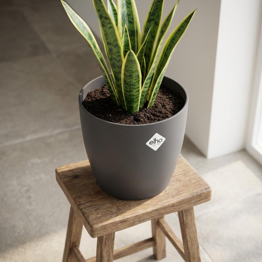 Elho Brussels Rond 25Cm Antraciet