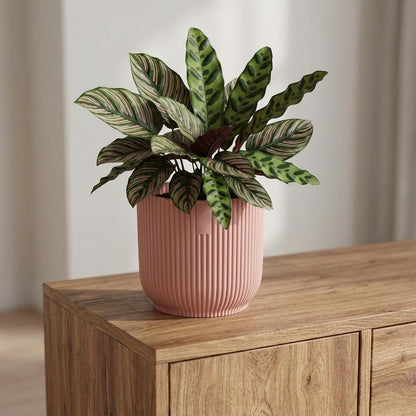 Elho Vibes Fold 14Cm Roze