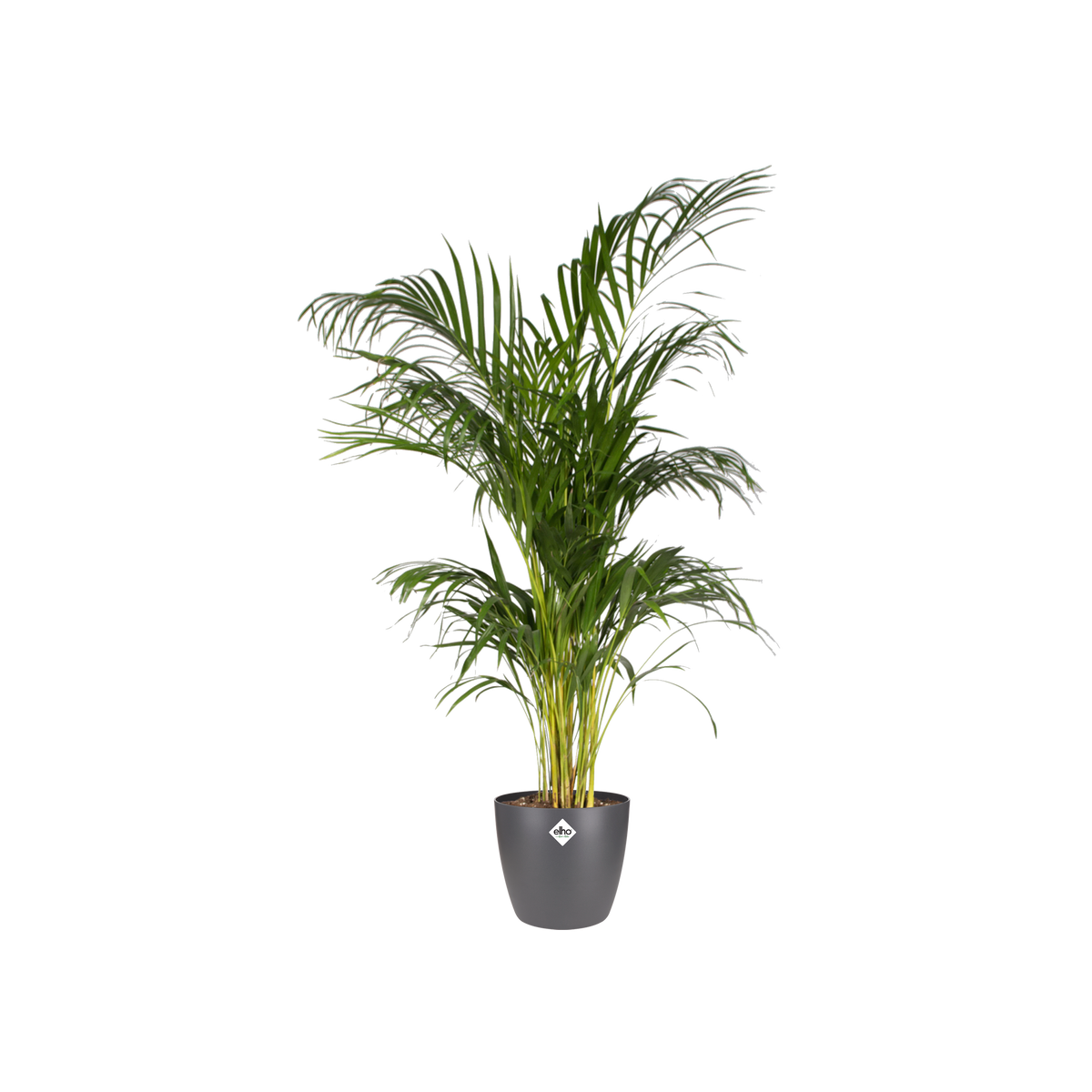 Pot Elho Brussels Round Antraciet D20 X H19