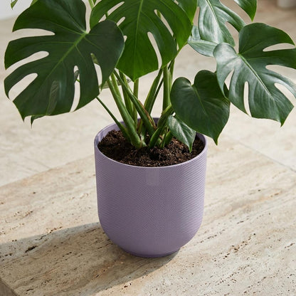 Pot Elho Jazz Round Lavender Lilac