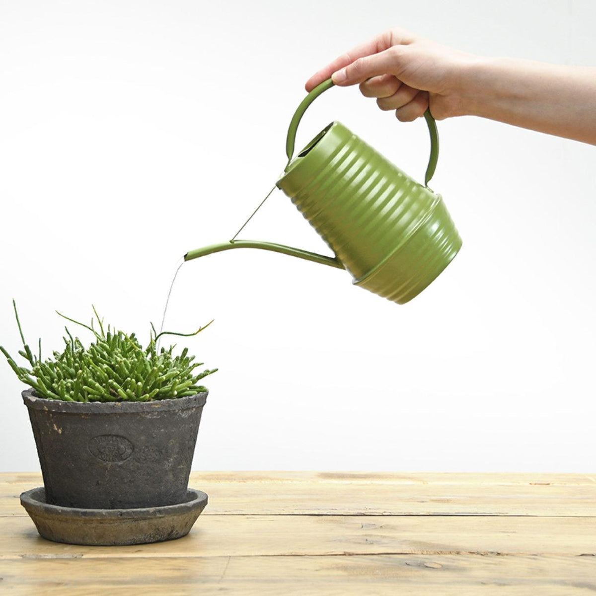 Bloemengieter - Zink - 1 Liter - Groen
