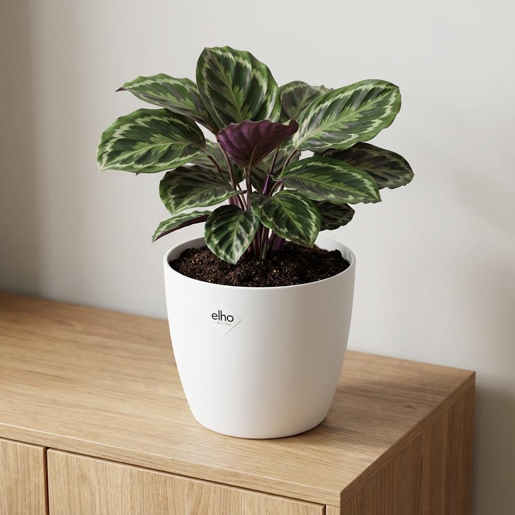 Elho Brussels Rond 18Cm Wit