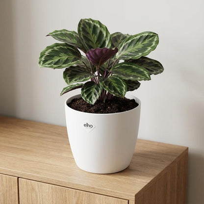 Elho Brussels Rond 18Cm Wit