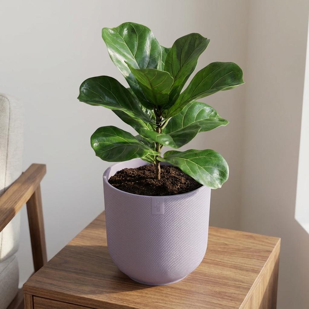 Pot Elho Jazz Round Lavender Lilac