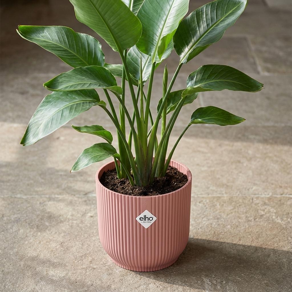 Elho Vibes Fold 14Cm Roze