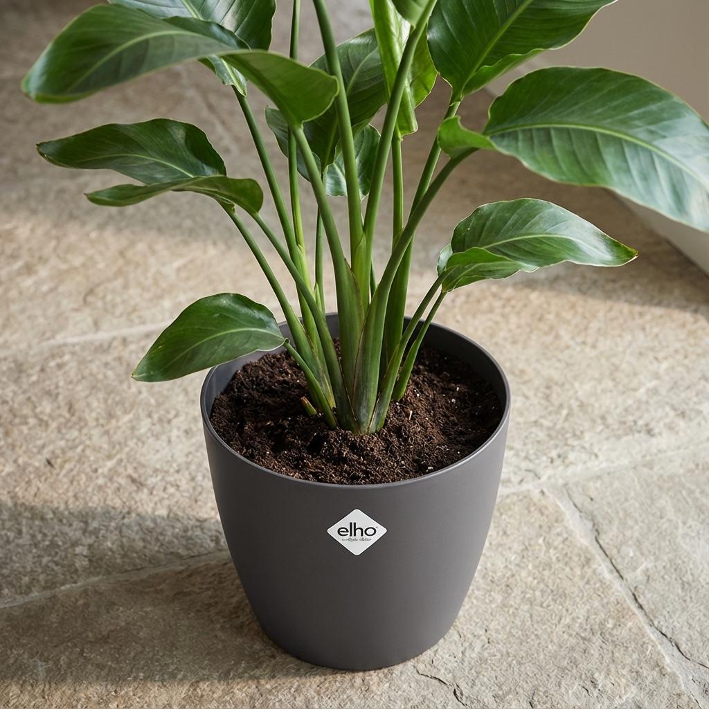 Elho Brussels Rond 18Cm Antraciet
