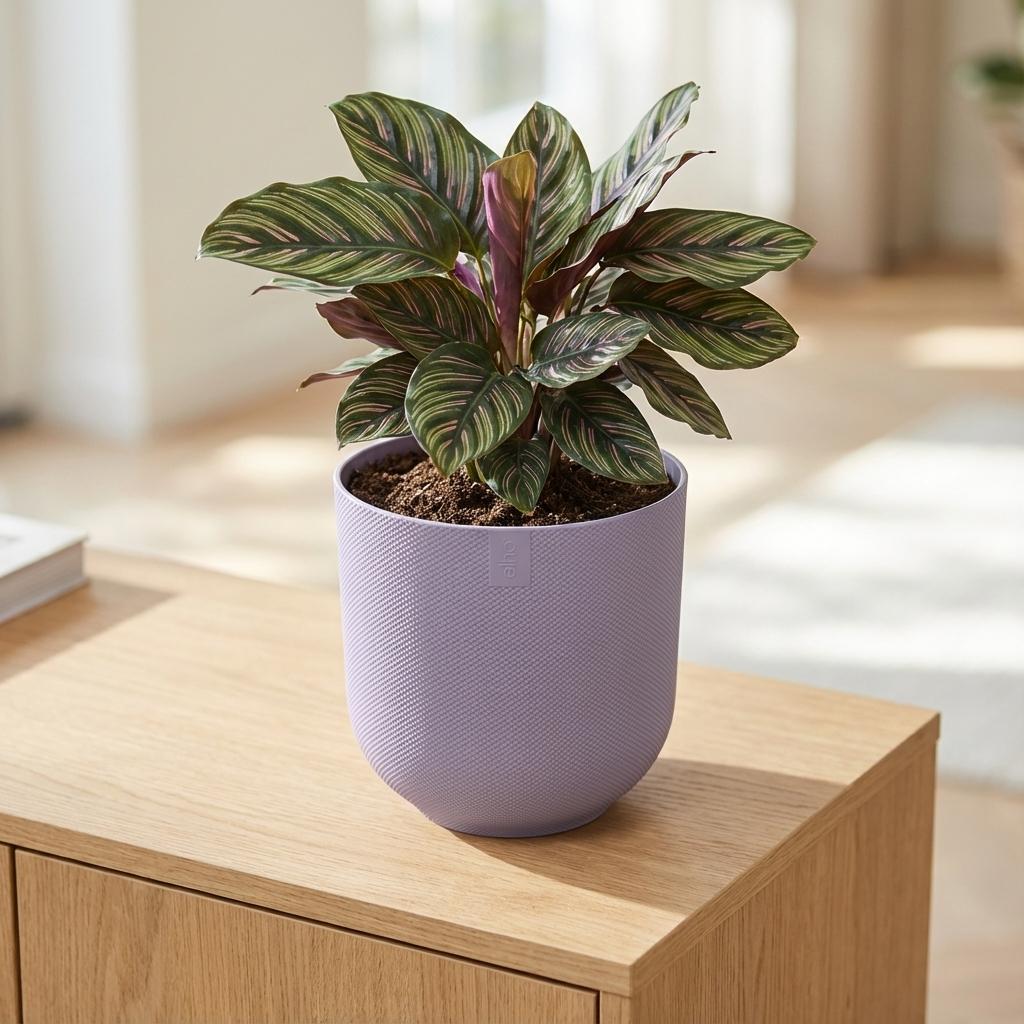 Pot Elho Jazz Round Lavender Lilac