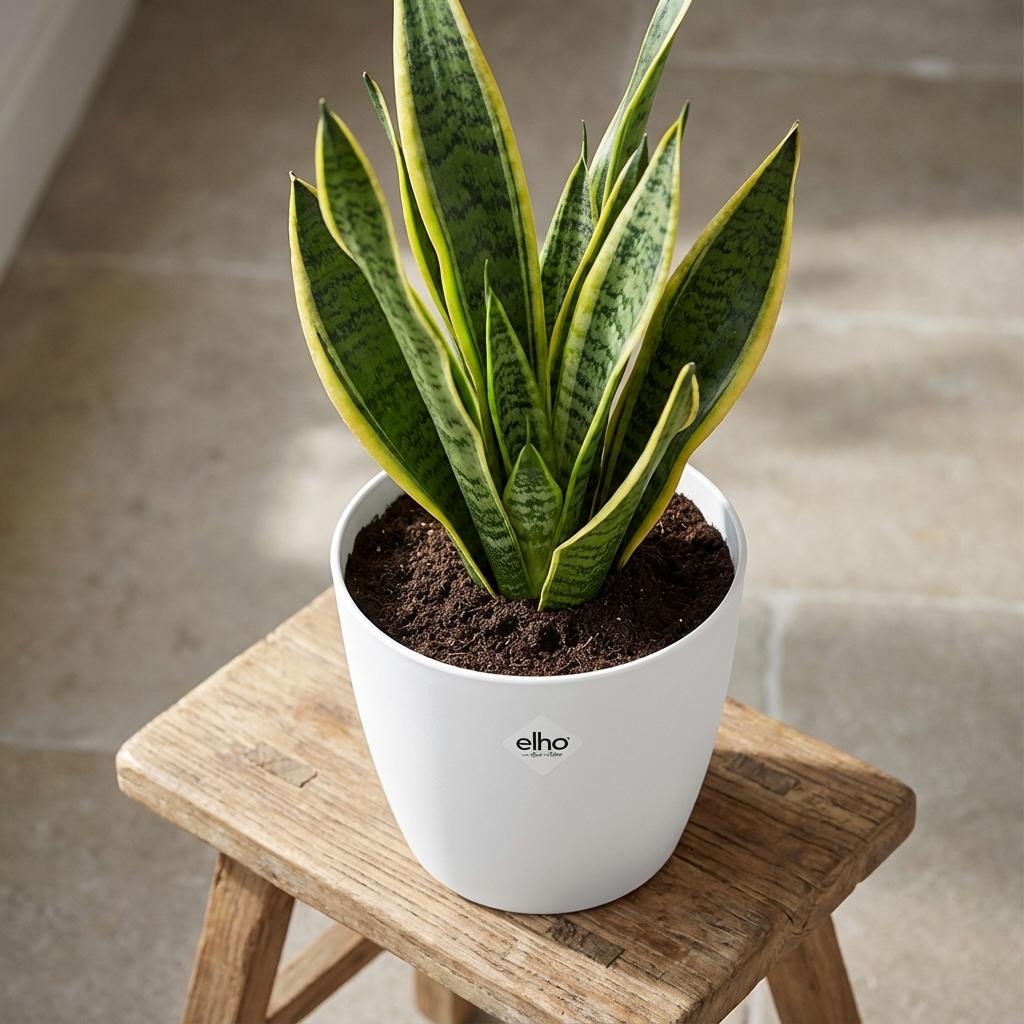 Elho Brussels Rond 25Cm Wit