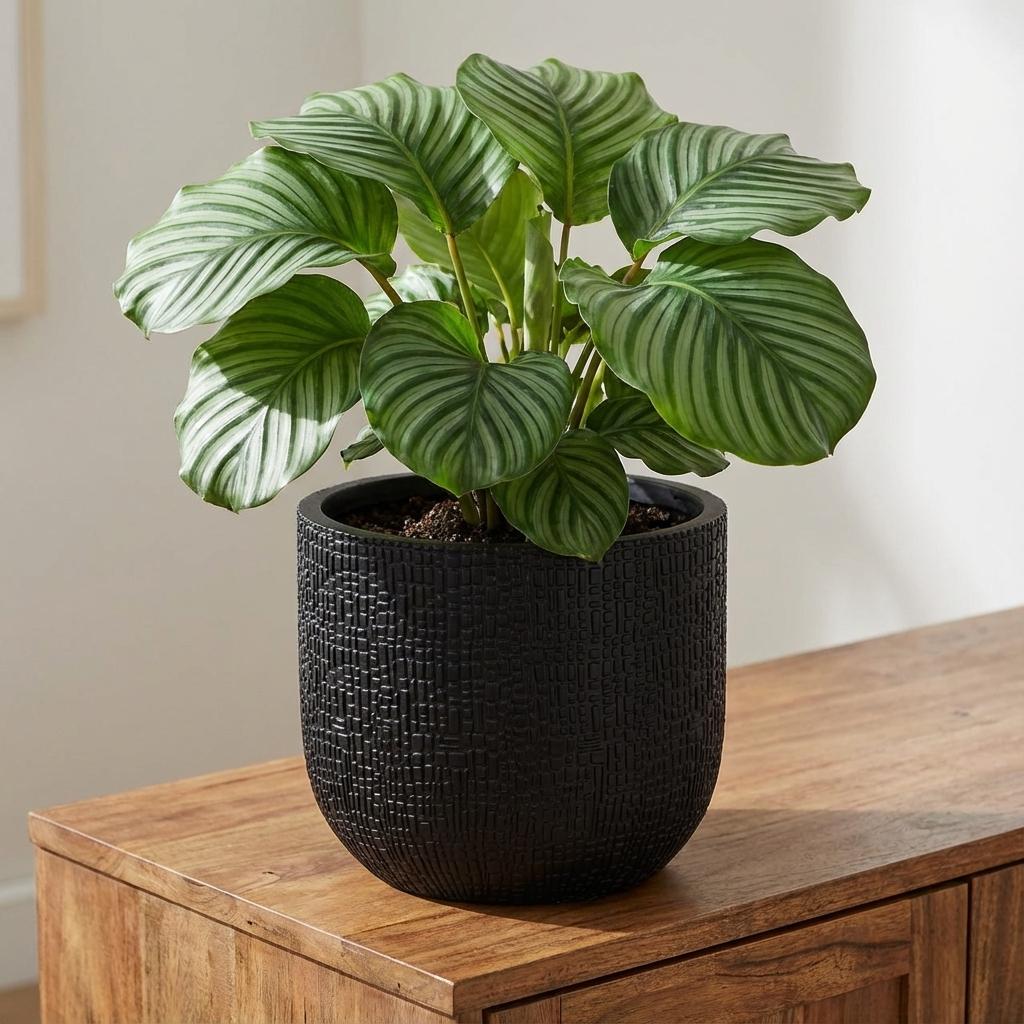 Capi Nature Skin Pot Bol Antraciet