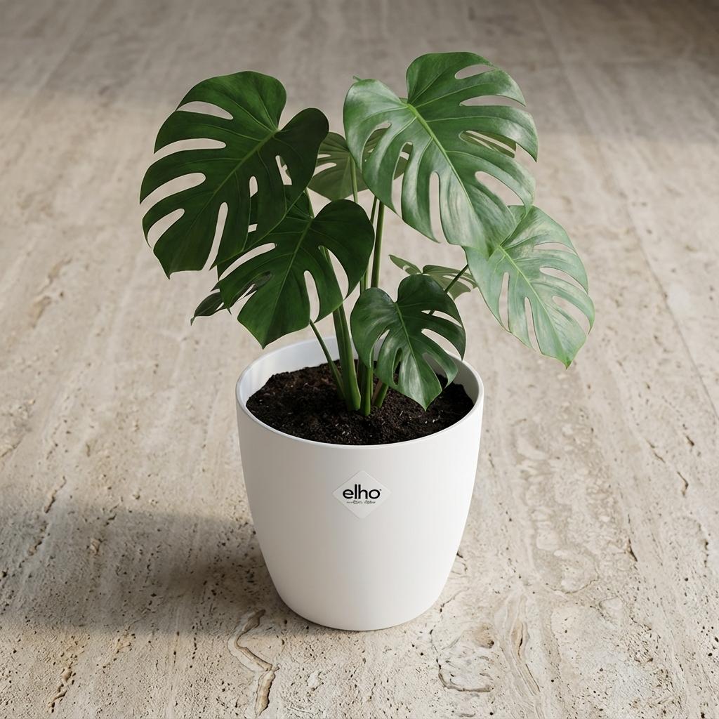 Elho Brussels Rond 18Cm Wit
