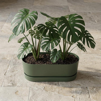 Elho Pot Greenville Easy Balcony D25Cm