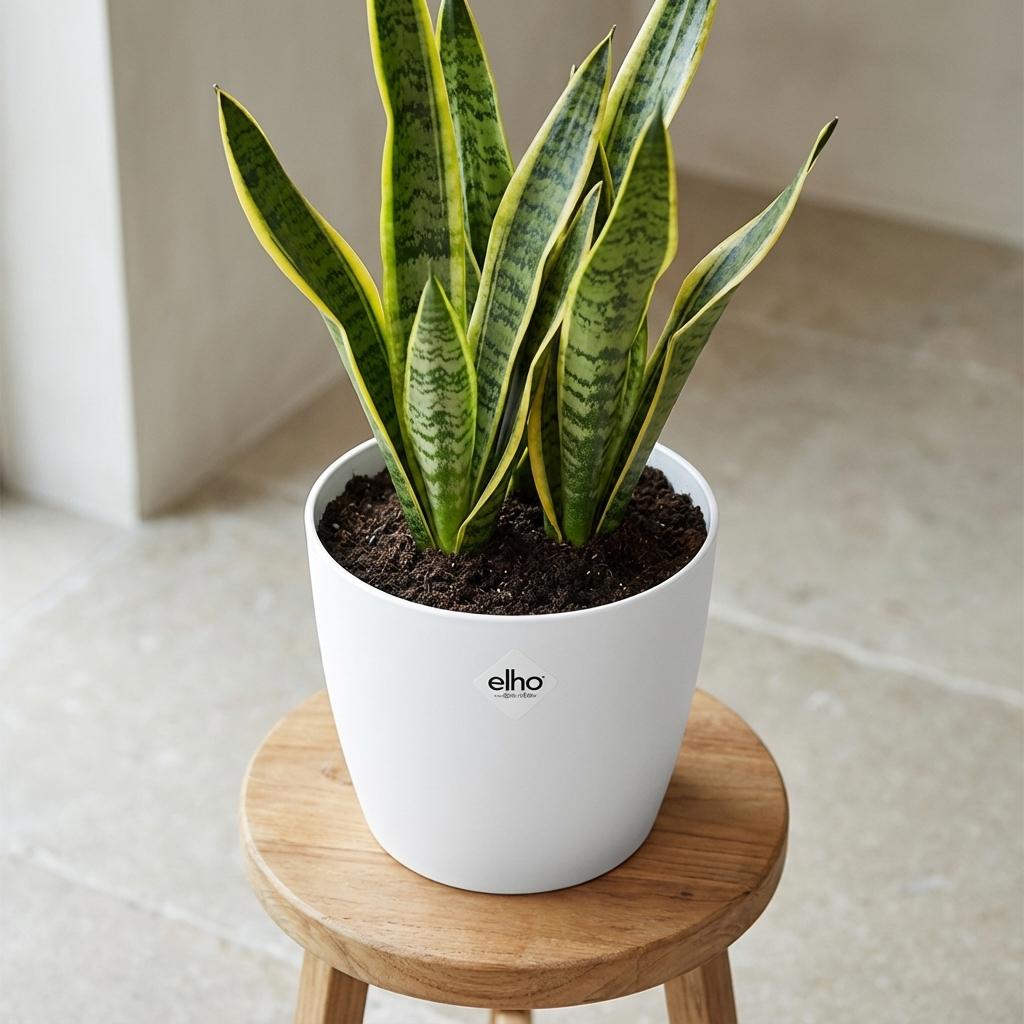 Elho Brussels Rond 18Cm Wit