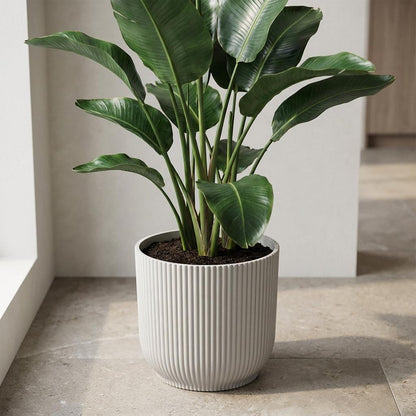 Elho Vibes Fold 22Cm Wit