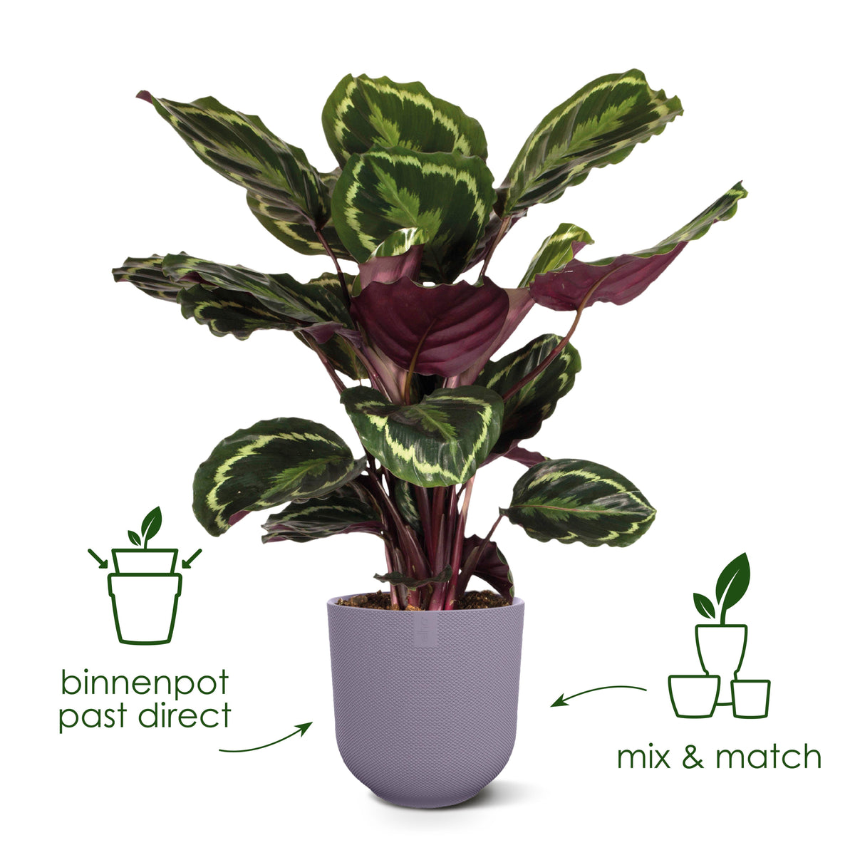Pot Elho Jazz Round Tuscan Red