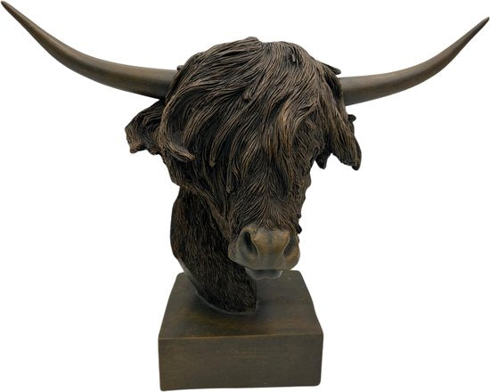Beeld Schotse Hooglander Hoofd op voet bruin L39cm H33cm