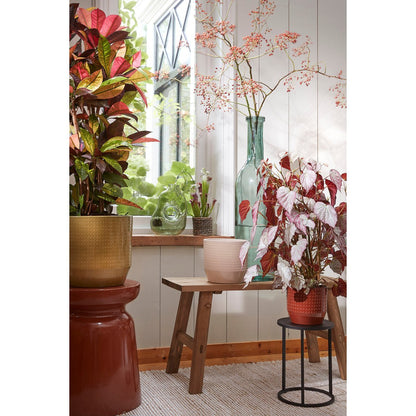 Bold Houten Bankje - L80 x B36,5 x H44 cm - Gerecycled Hout - Bruin